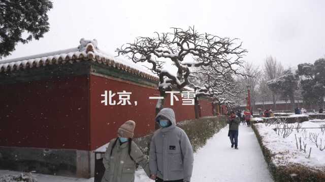 相比上广深,北京的城建很破,但北京一下雪便美得不可方物