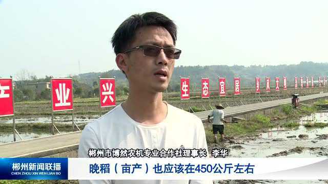 一年之计在于春:苏仙区栖凤渡镇:千亩农田翻耕 静待荷稻飘香