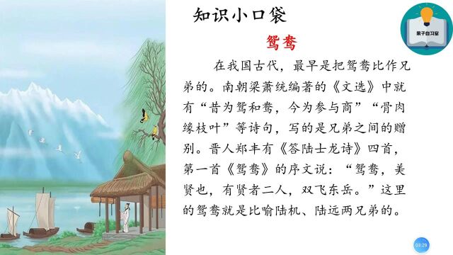 小学生必背古诗词||34《绝句二》