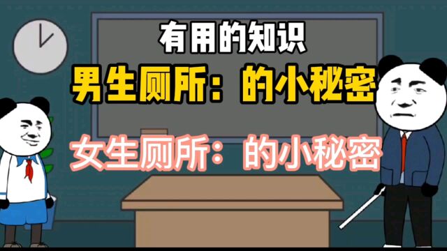 男女厕所的小秘密