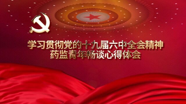 党史学习教育丨学习贯彻党的十九届六中全会精神药监青年畅谈心得体会——信息中心