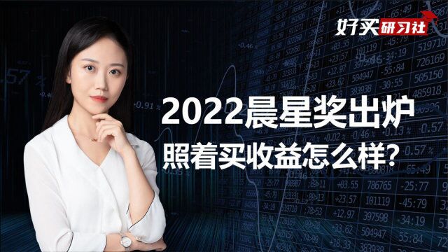 2022晨星奖新鲜出炉,投资者们可以“抄作业”吗?