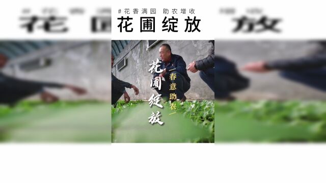 花圃绽放 春意助农