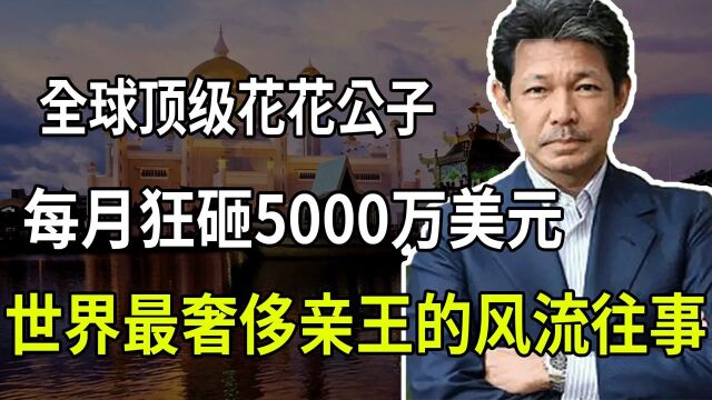 全球最奢侈的亲王 每月烧5000万美元