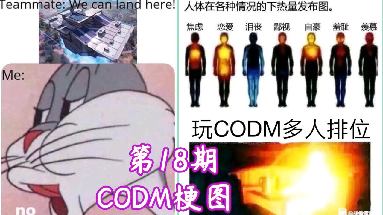 使命召唤手游:只有codm玩家才懂的梗图第18期