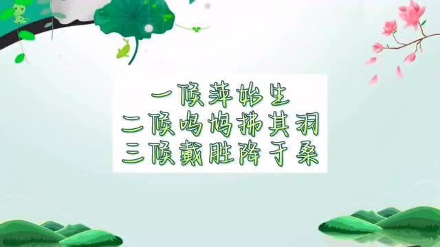 谷雨的由来与习俗—这里看