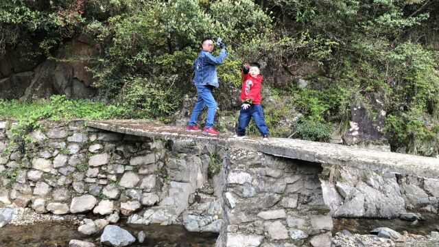 探访浙江宁海双峰山区,这里海拔400米以上,高山峡谷溪流一应俱全