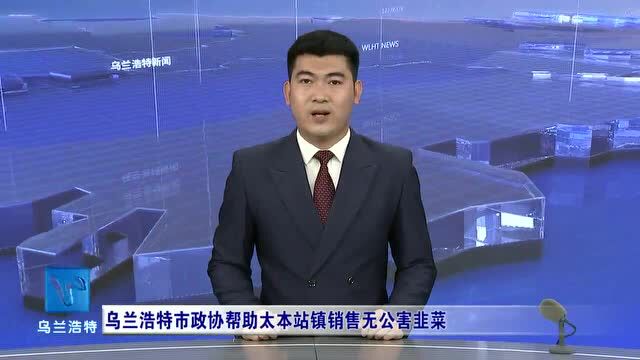 乌兰浩特市政协帮助太本站镇销售无公害韭菜