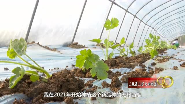 阜城县:抢抓农时种植忙 特色产业促增收