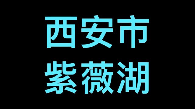 西安市紫薇湖湿地公园免门票,清新脱俗的网红打卡胜地,景色很美