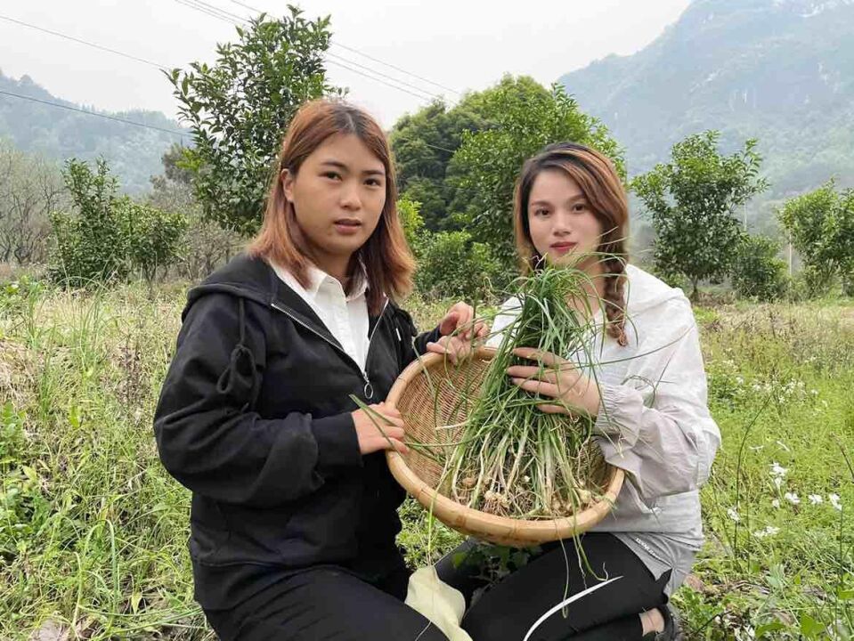 小美跟着闺蜜小九去挖野生的植物,听说很好吃,看看是啥