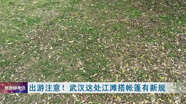 出游请注意!事关户外搭帐篷,武汉这几处公园有新规!