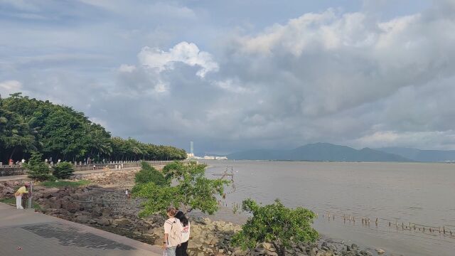 深圳湾海边风景,海边闲走,蓝天白云