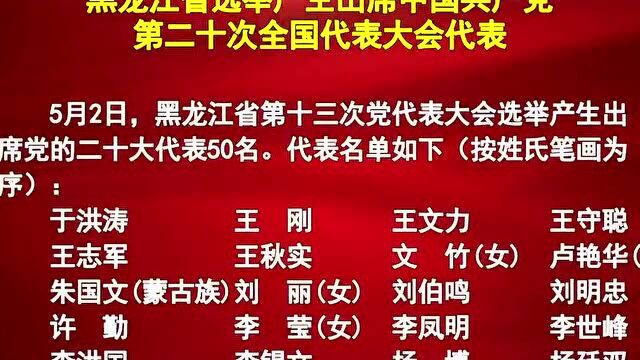 黑龙江省长胡昌升当选二十大代表!