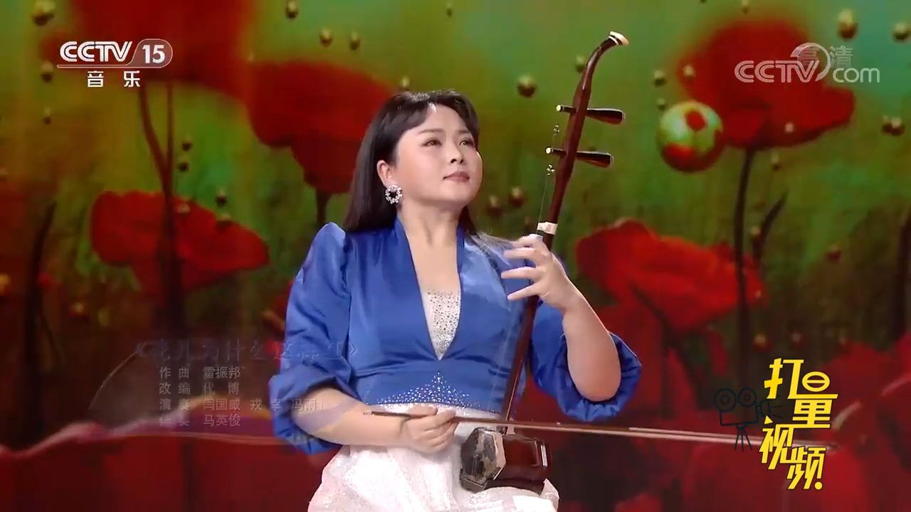 一曲《花儿为什么这样红》,闫国威等人演奏,美妙悦耳