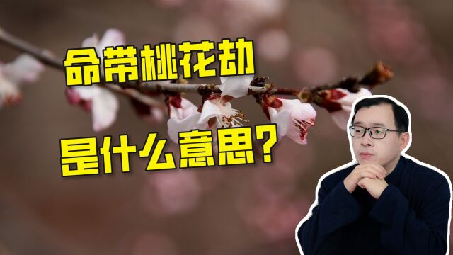 命中带桃花劫什么意思吉凶如何?| 江南易林