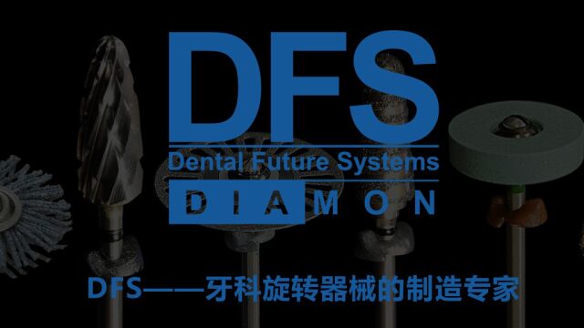 DFS钨钢磨头