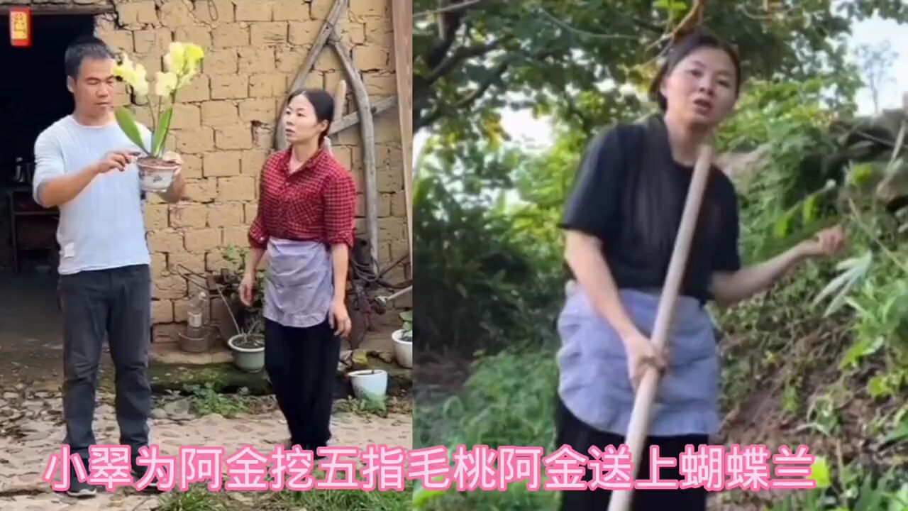 阿金哥表现好得到小翠认可,阿金为小翠送上蝴蝶兰花,小翠很高兴