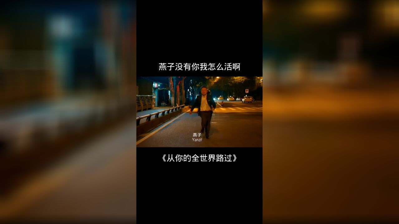 燕子没有你我怎么活啊