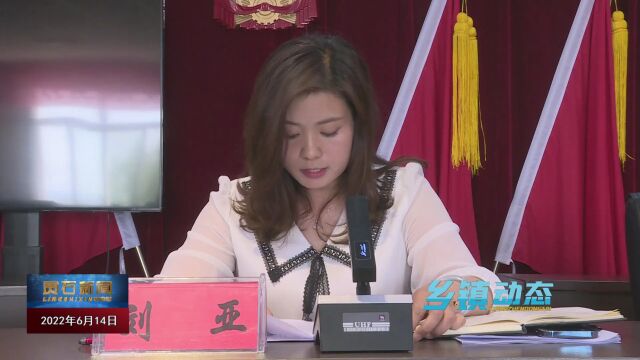 【乡镇动态】王禹乡召开汛期地质灾害防治工作会