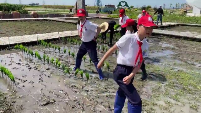 校园动态|第八小学少先队开展“喜迎二十大 争做好队员”主题校外实践活动