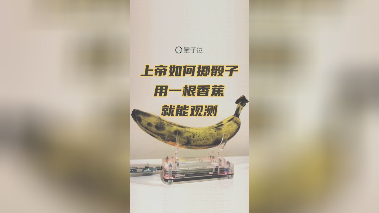 香蕉还能这么用?有人利用香蕉辐射,做了个真ⷩš机数生成器