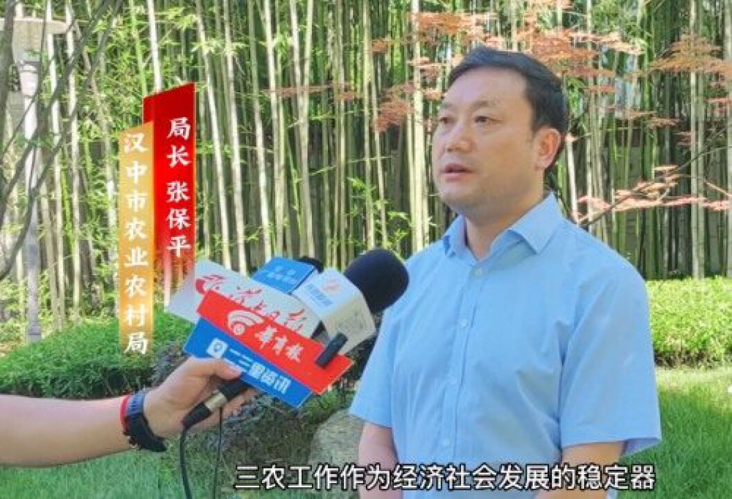 【提振经济】专访汉中市农业农村局局长张保平:切实守牢守好"三农"