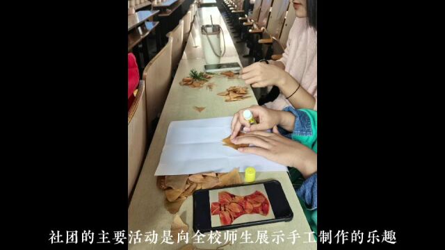 唐山师范学院 生命科学系 园艺社“活力社团”风采展示(禁止盗用!)