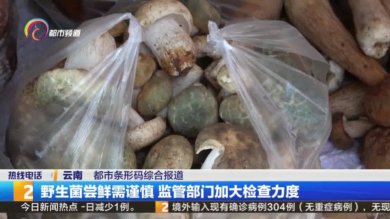 野生菌尝鲜需谨慎 监管部门加大检查力度