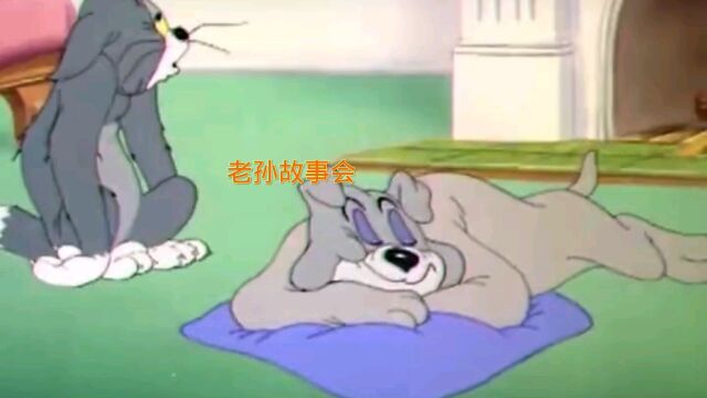 老孙故事之猫和老鼠