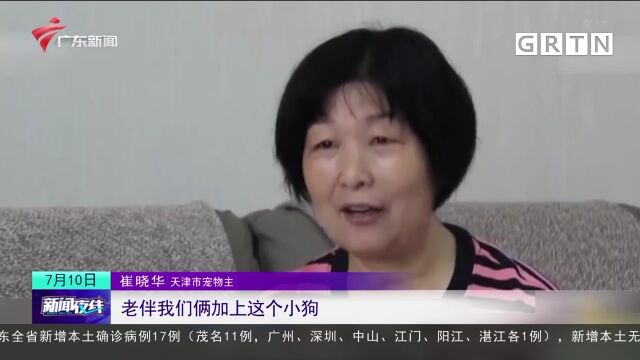 聚焦“宠物经济”丨独居人口增加 宠物陪伴作用凸显