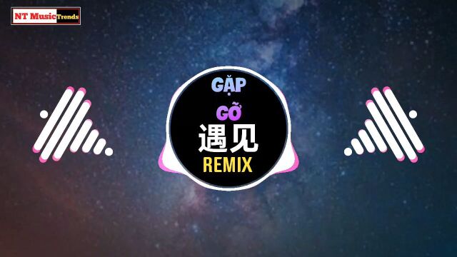 孙燕姿  遇见 (DJ抖音版 (Remix Tiktok 2022