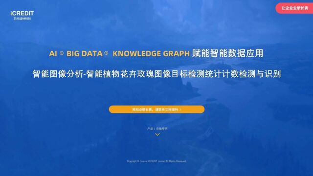 能图像分析智能植物花卉玫瑰图像目标检测统计计数检测与识别艾科瑞特科技(iCREDIT)