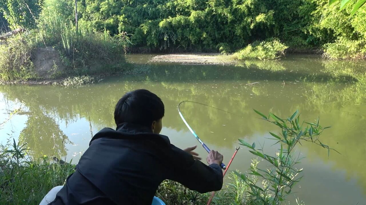 钓鱼:野钓打龟到崩溃!今天来堂哥鱼塘放松放松!