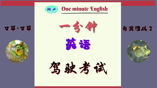 一分钟英语D31 驾驶考试 | 英语学习 | Learn English | 英语日常会话| 英语口语