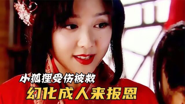 小狐狸被陌生男子救起,幻化成人来报恩!