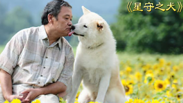 星守之犬高分催泪电影,比忠犬八公还感人,值得一看.