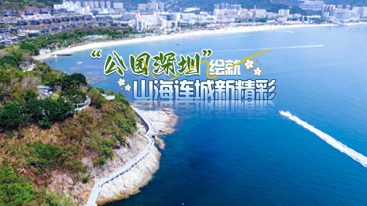 “公园深圳”绘就山海连城新精彩