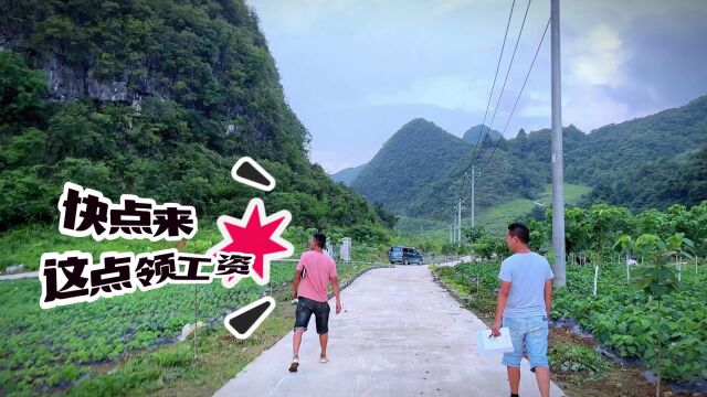 麻尾山桐子综合示范基地