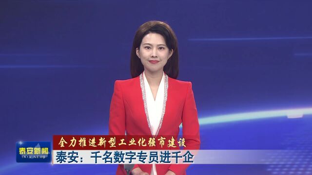 泰安:千名数字专员进千企