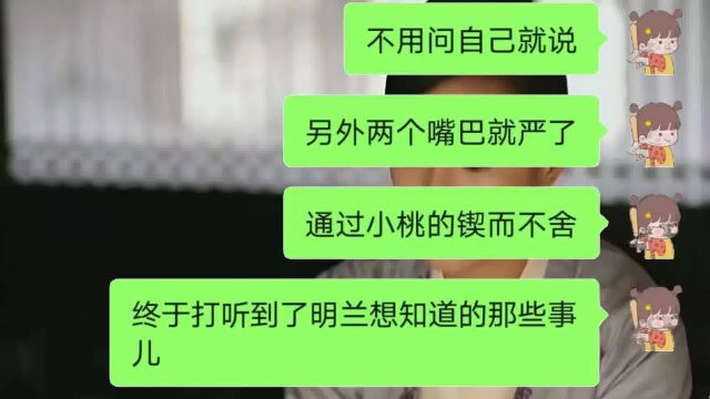 明兰能打听到顾廷烨前妻与外室女的消息,小桃功不可没