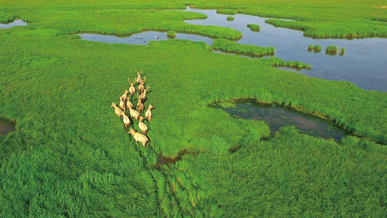 遇见中国之美ⷦ𙖥—篇:三湘大地青山碧水,芙蓉国里尽朝晖