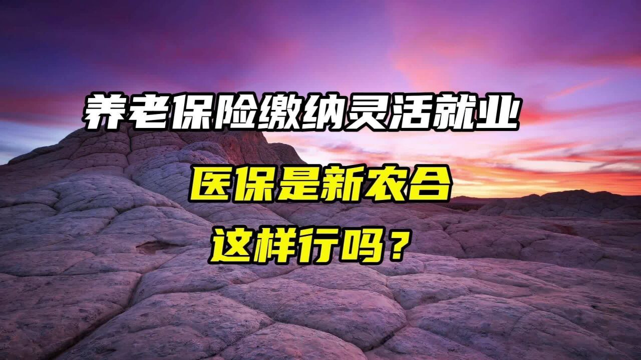 我的养老保险缴纳灵活就业,医保是新农合,这样行吗?