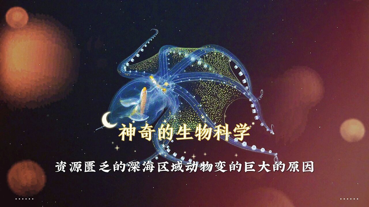 神奇的生物科学,深海中的巨人