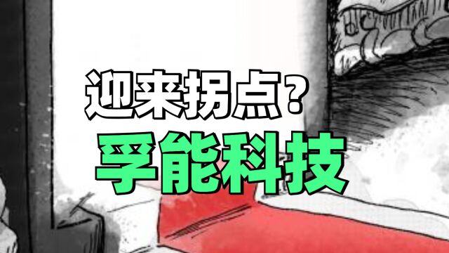 中报大幅度超出预期,孚能科技,迎来拐点,有望下一个宁德时代?