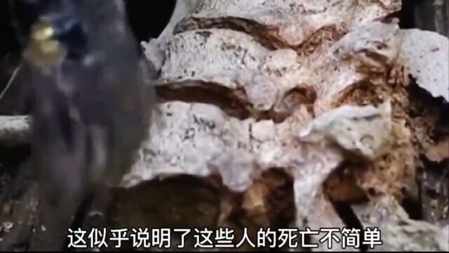 河南发现真正的姜子牙墓,姜太公墓陪葬有神兽四不像(二)