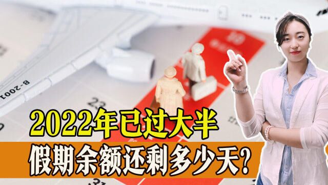 2022年还剩不到五个月,假期余额还剩多少天?一起来看看