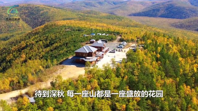 秋季的大兴安岭 每一座山都是一座盛放的花园