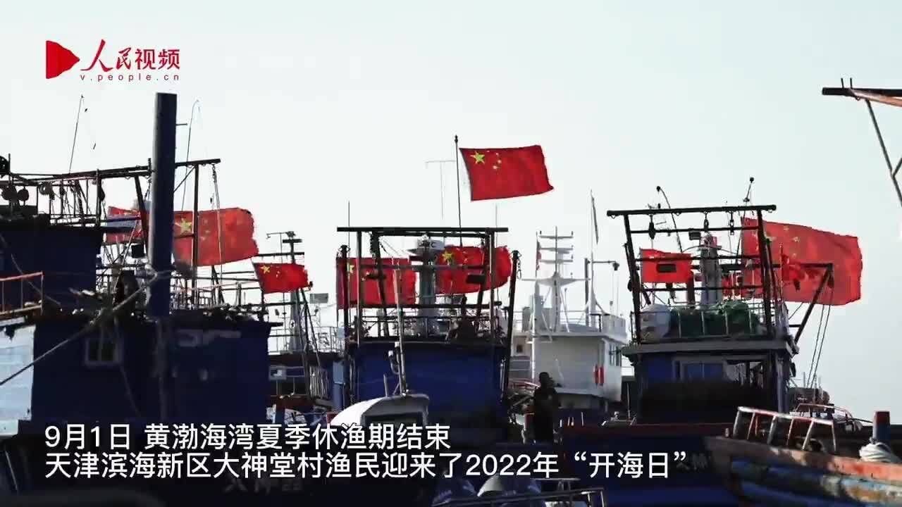 渤海开渔!电助耕海牧渔起新图