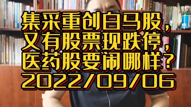 集采重创白马股,又有股票现跌停,医药股要闹哪样?